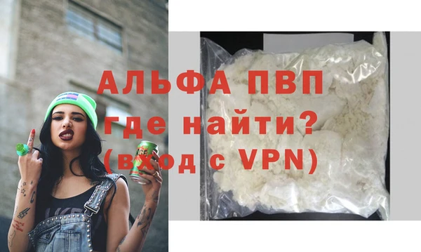 индика Гусиноозёрск
