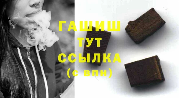 индика Гусиноозёрск