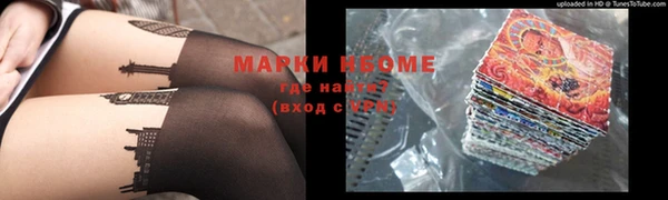 индика Гусиноозёрск