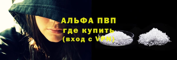 индика Гусиноозёрск