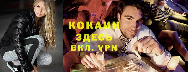 индика Гусиноозёрск