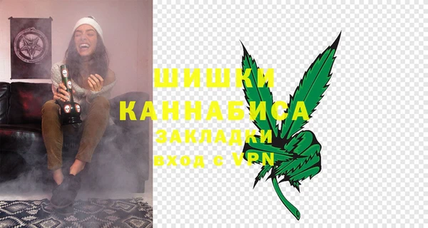 индика Гусиноозёрск