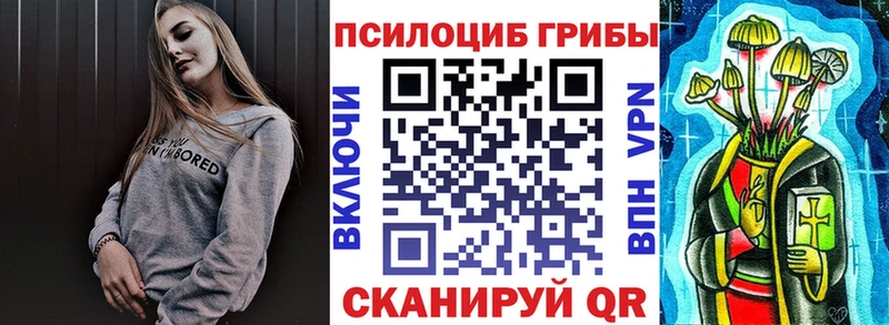 Купить закладки  Ардатов  Галлюциногенные грибы прущие грибы 