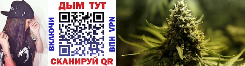 Шишки марихуана OG Kush Ардатов